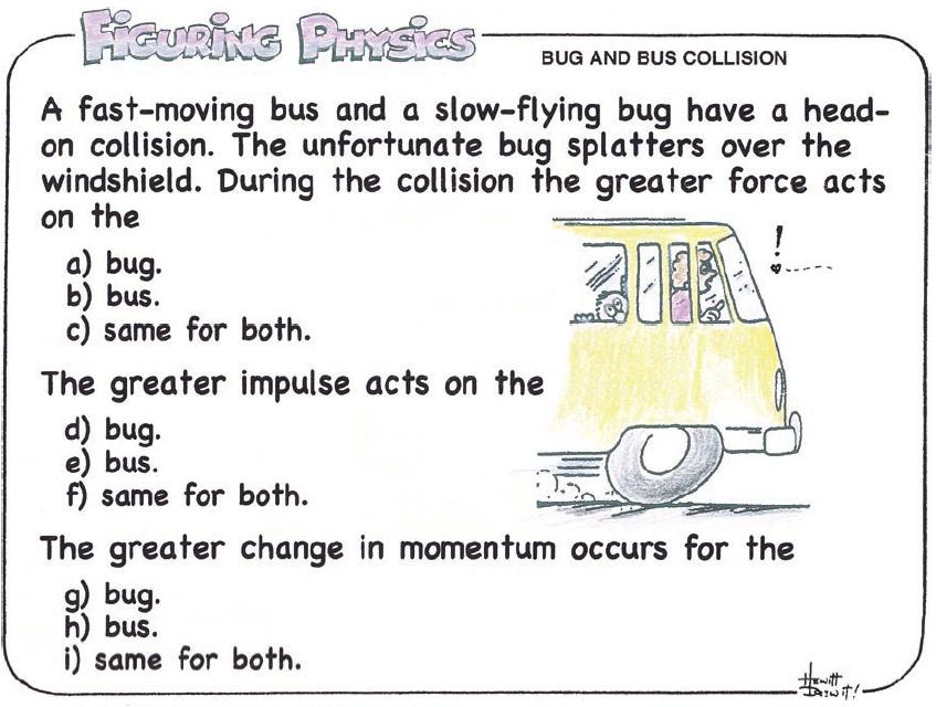 bug and bus collision